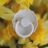 SILICONE PACIFIER BLOCK 2 PACK DAISY FRENCH GRAY/BABY PIN 0+