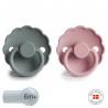 SILICONE PACIFIER BLOCK 2 PACK DAISY FRENCH GRAY/BABY PIN 6+