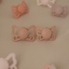 ANAT. SILICONE PACIFIER 2 PACK BUTTERFLY SLATE/POWDER B. 0+