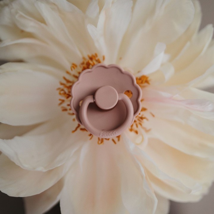 LATEX PACIFIER BLOCK 2 PACK DAISY BLUSH/COTTON CANDY 0+