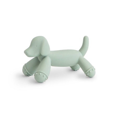 MASSAGIAGENGIVE IN SILICONE DOG SAGE 8x4.5x4.5 CM