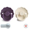 SILICONE PACIFIER BLOCK 2 PACK DAISY VIOLET DREAM/CREAM 6+